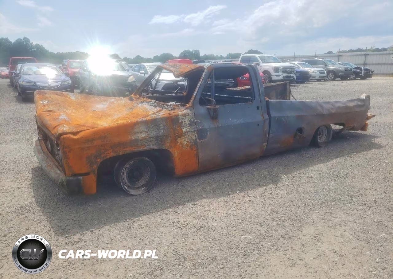 1981 Chevrolet C10