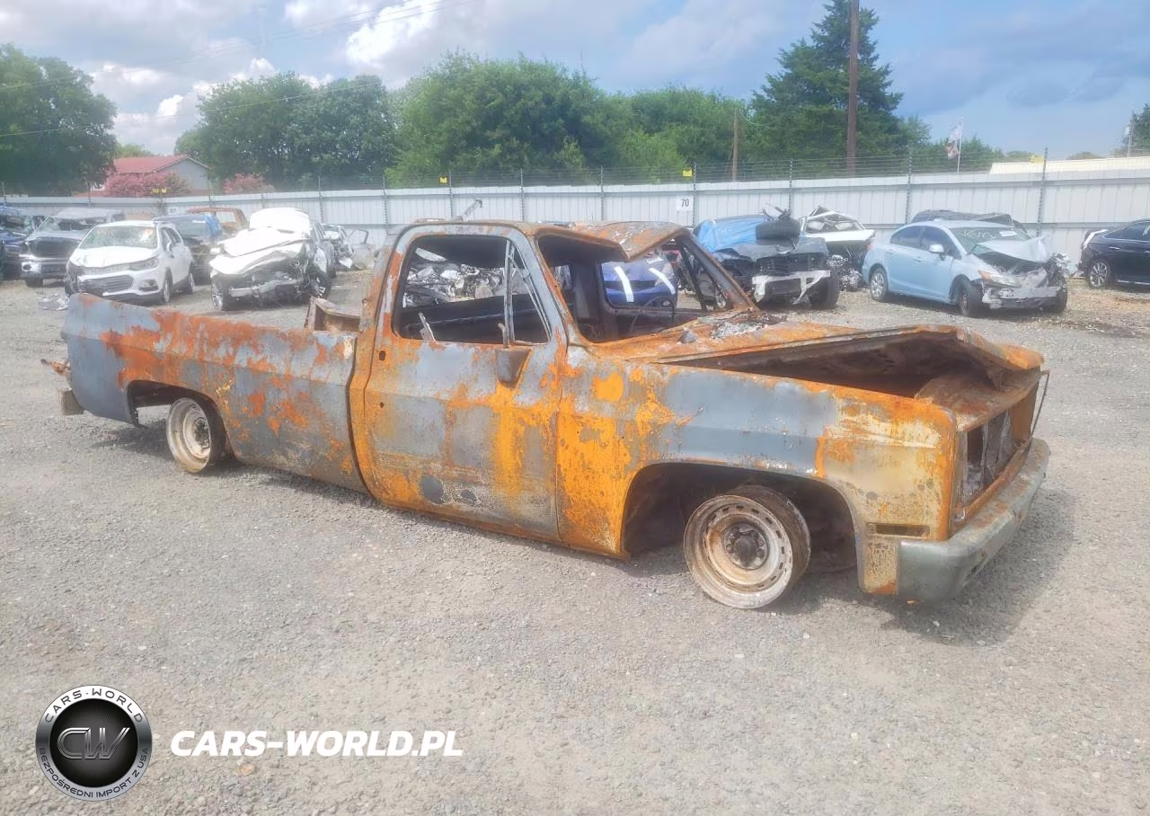 1981 Chevrolet C10 VIN:1GCCC14D7BF392773 - 4