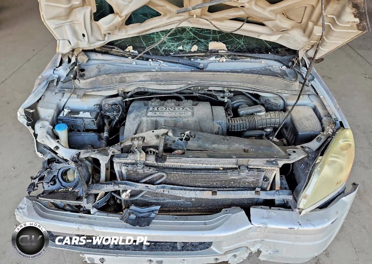 2005 Honda Pilot Exl VIN:5FNYF18575B044481 - 12