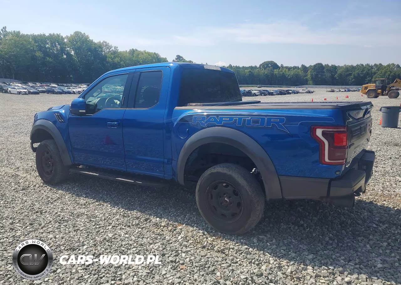 2017 Ford F150 Raptor VIN:1FTEX1RG8HFB19026 - 2