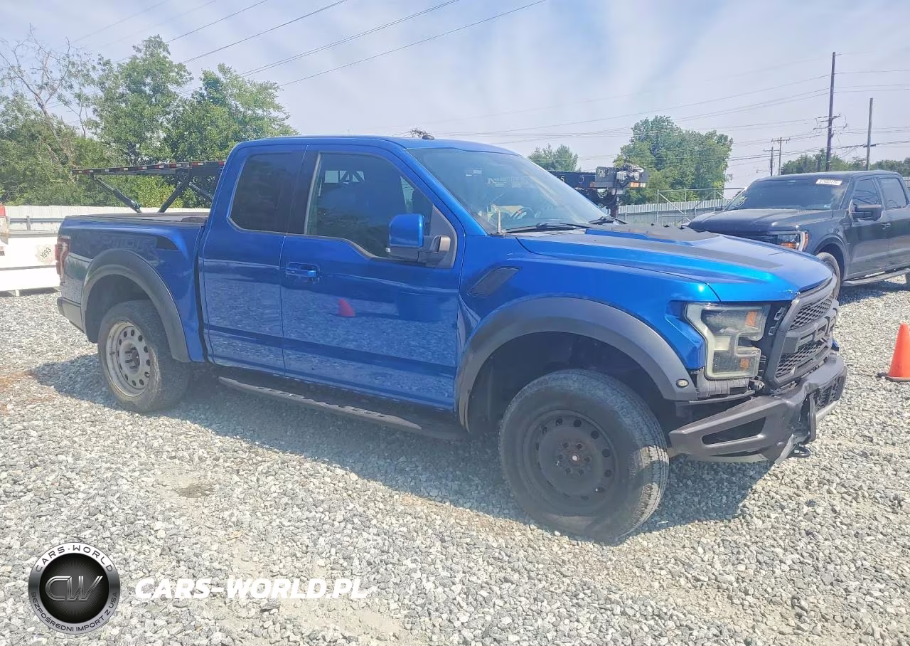 2017 Ford F150 Raptor VIN:1FTEX1RG8HFB19026 - 4