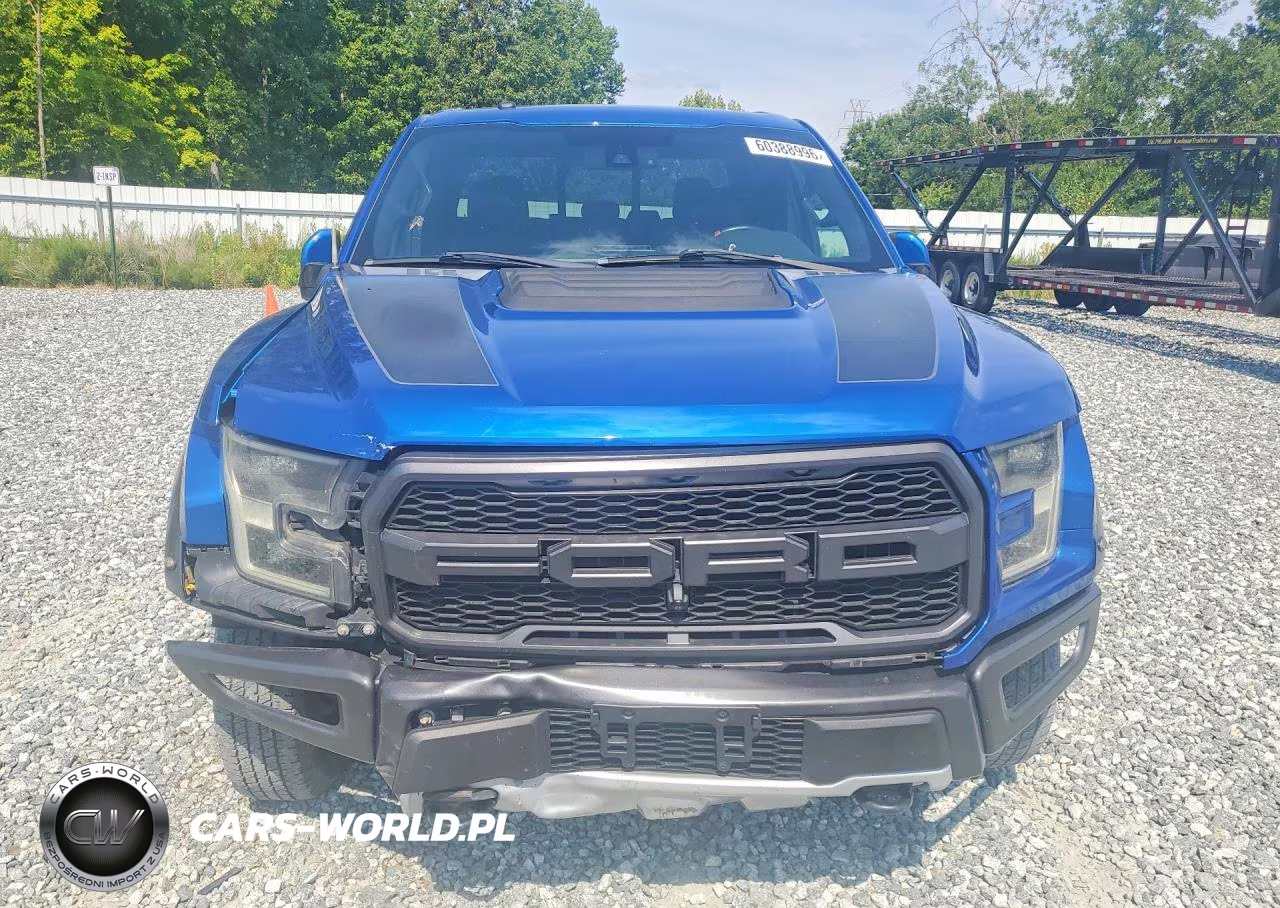 2017 Ford F150 Raptor VIN:1FTEX1RG8HFB19026 - 5