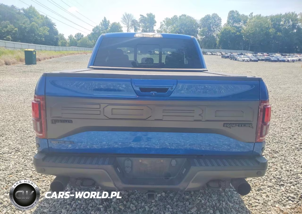 2017 Ford F150 Raptor VIN:1FTEX1RG8HFB19026 - 6