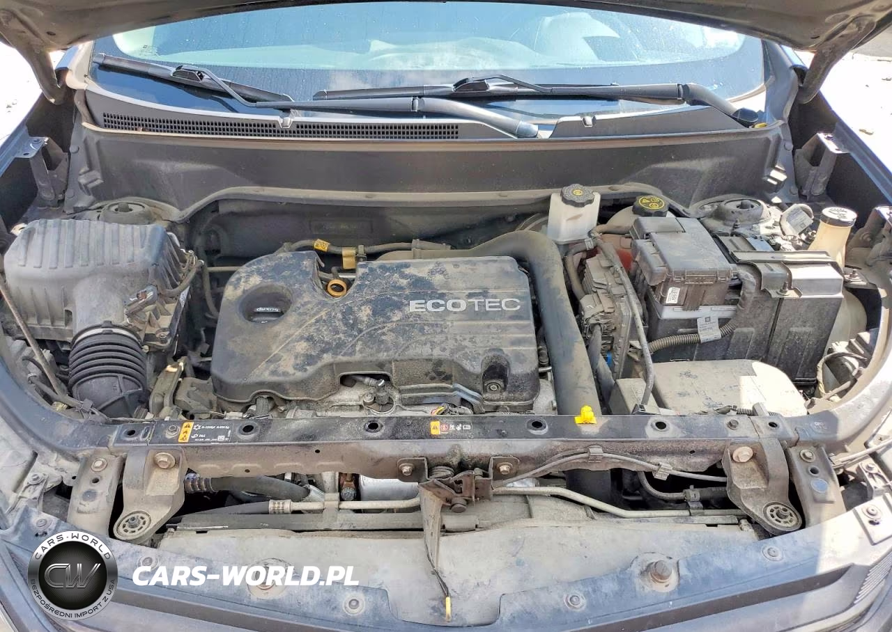 2019 Chevrolet Equinox Lt VIN:3GNAXJEV9KL318125 - 11