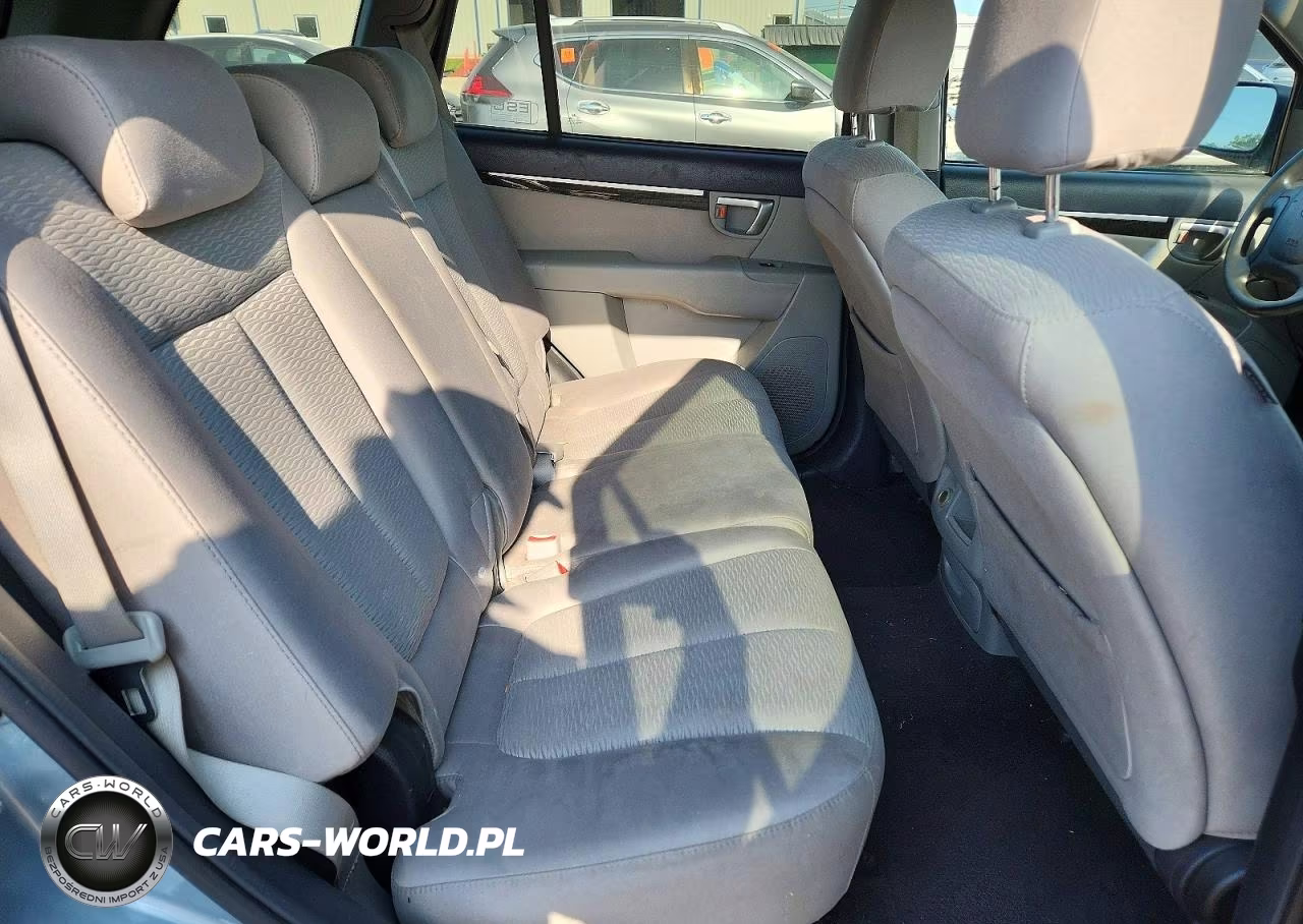 2009 Hyundai Santa Fe Gls VIN:5NMSG13D29H229592 - 10