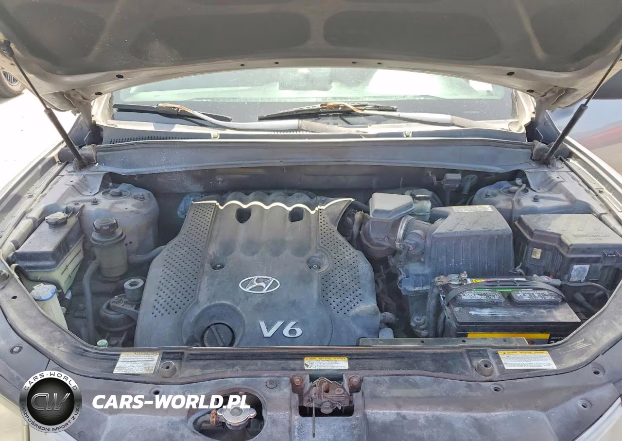 2007 Hyundai Santa Fe Gls VIN:5NMSG13D47H122234 - 12