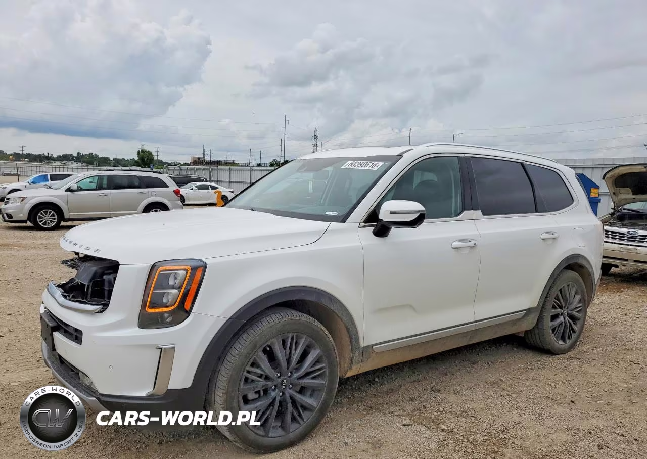 2020 Kia Telluride Sx VIN:5XYP5DHC3LG057233 - 1