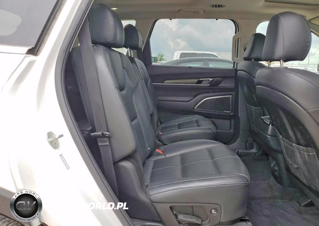 2020 Kia Telluride Sx VIN:5XYP5DHC3LG057233 - 11