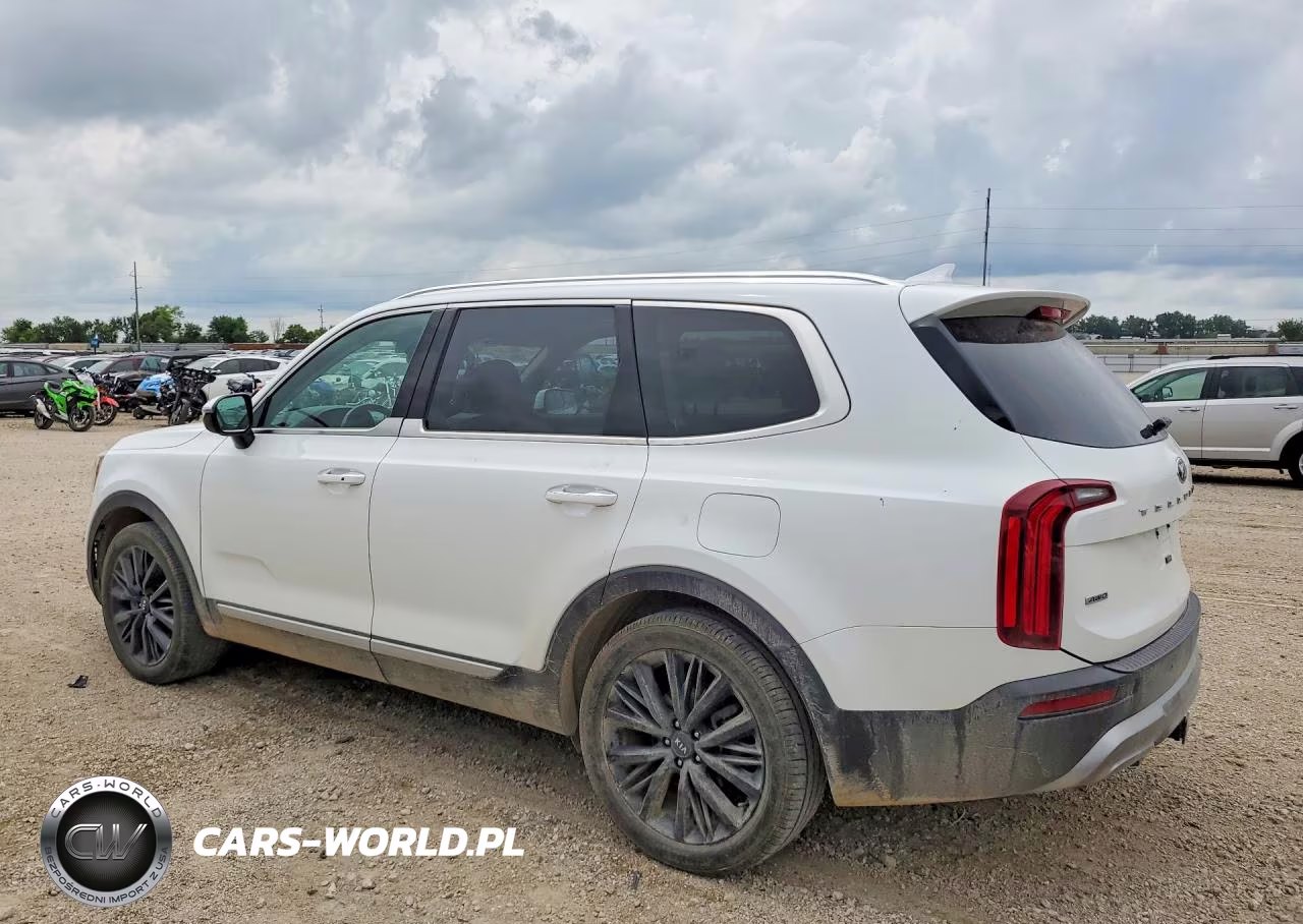 2020 Kia Telluride Sx VIN:5XYP5DHC3LG057233 - 2