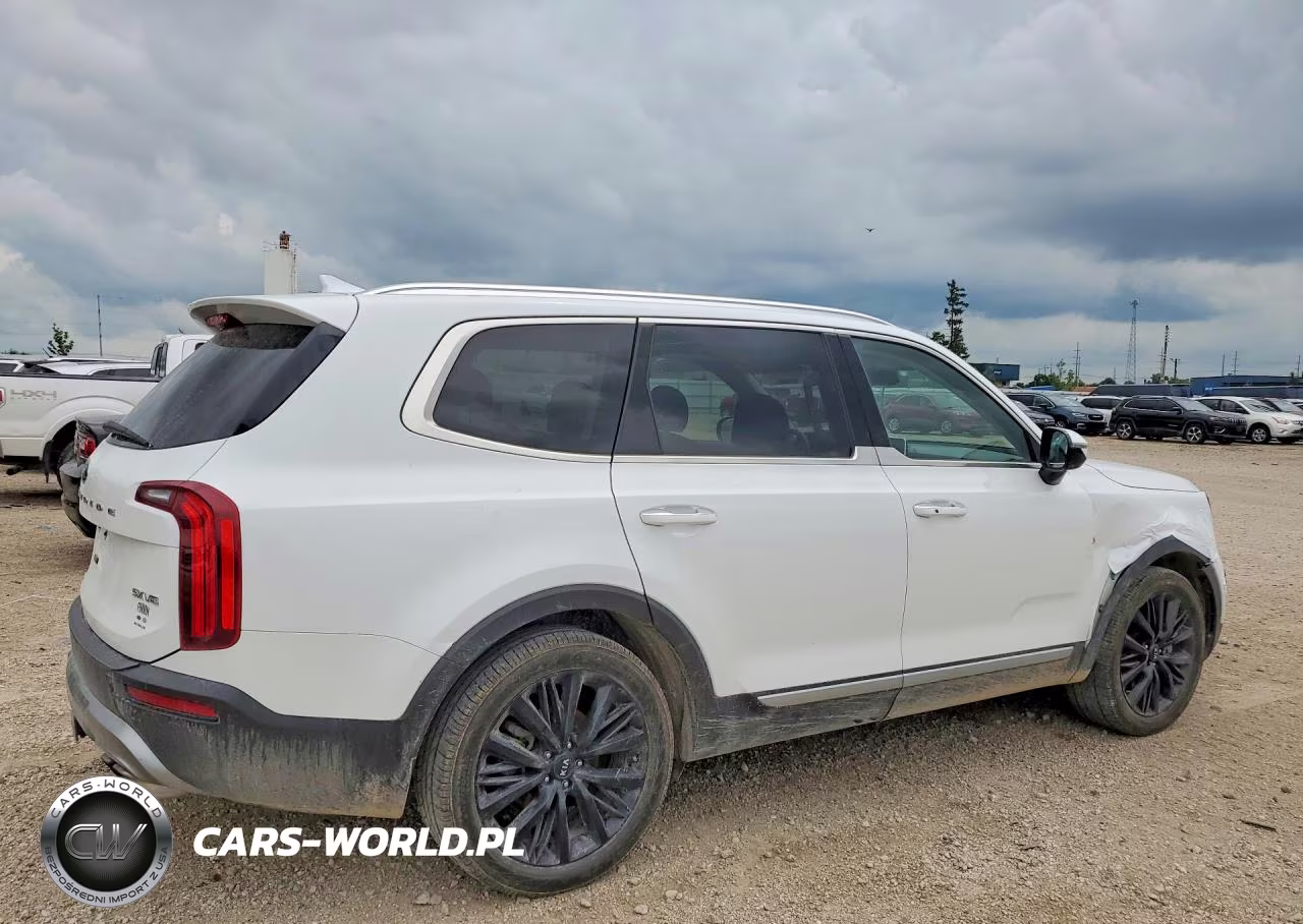 2020 Kia Telluride Sx VIN:5XYP5DHC3LG057233 - 3