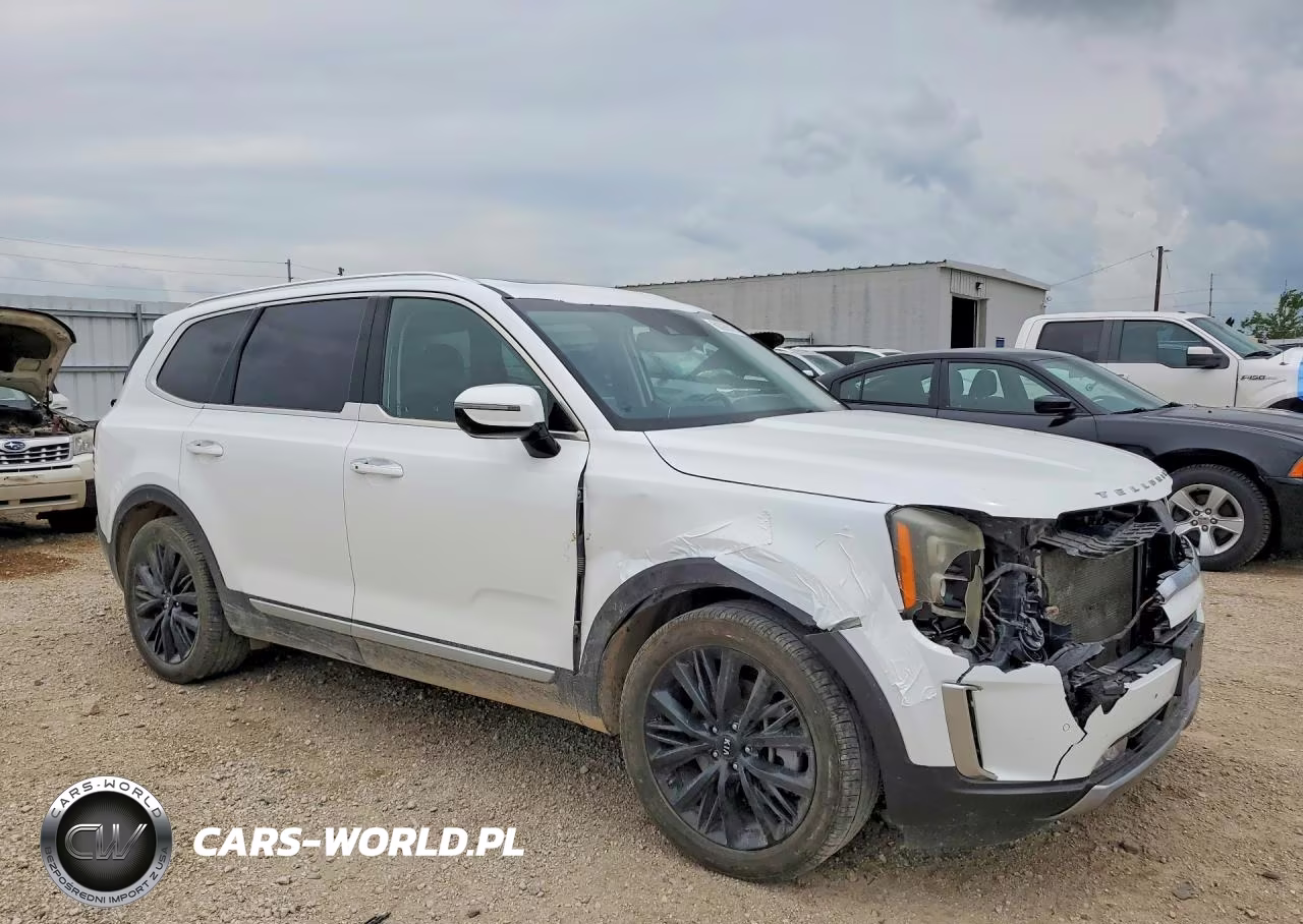 2020 Kia Telluride Sx VIN:5XYP5DHC3LG057233 - 4