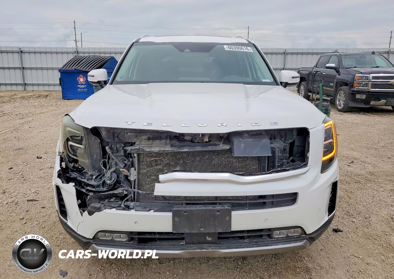 2020 Kia Telluride Sx VIN:5XYP5DHC3LG057233 - 5