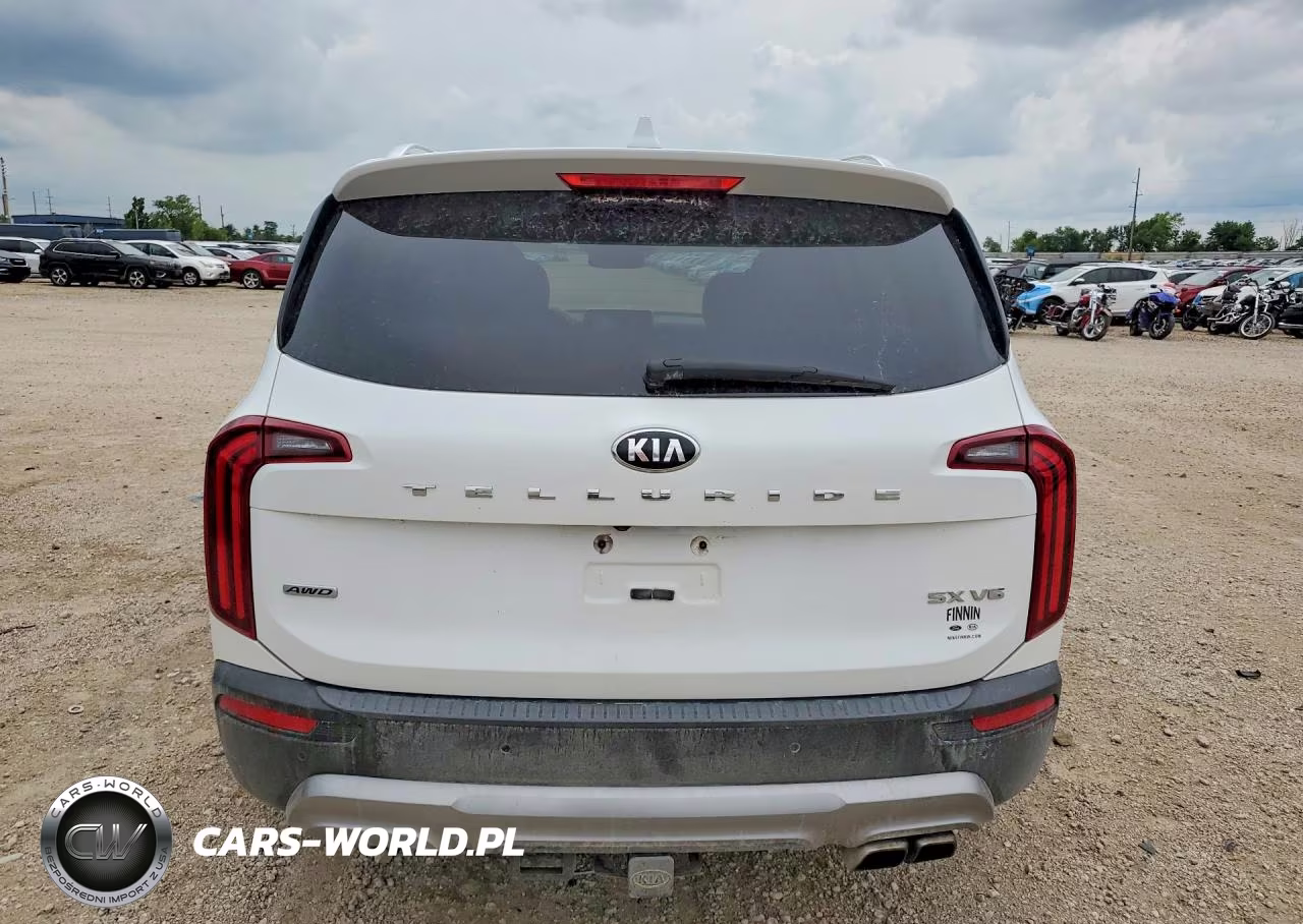 2020 Kia Telluride Sx VIN:5XYP5DHC3LG057233 - 6
