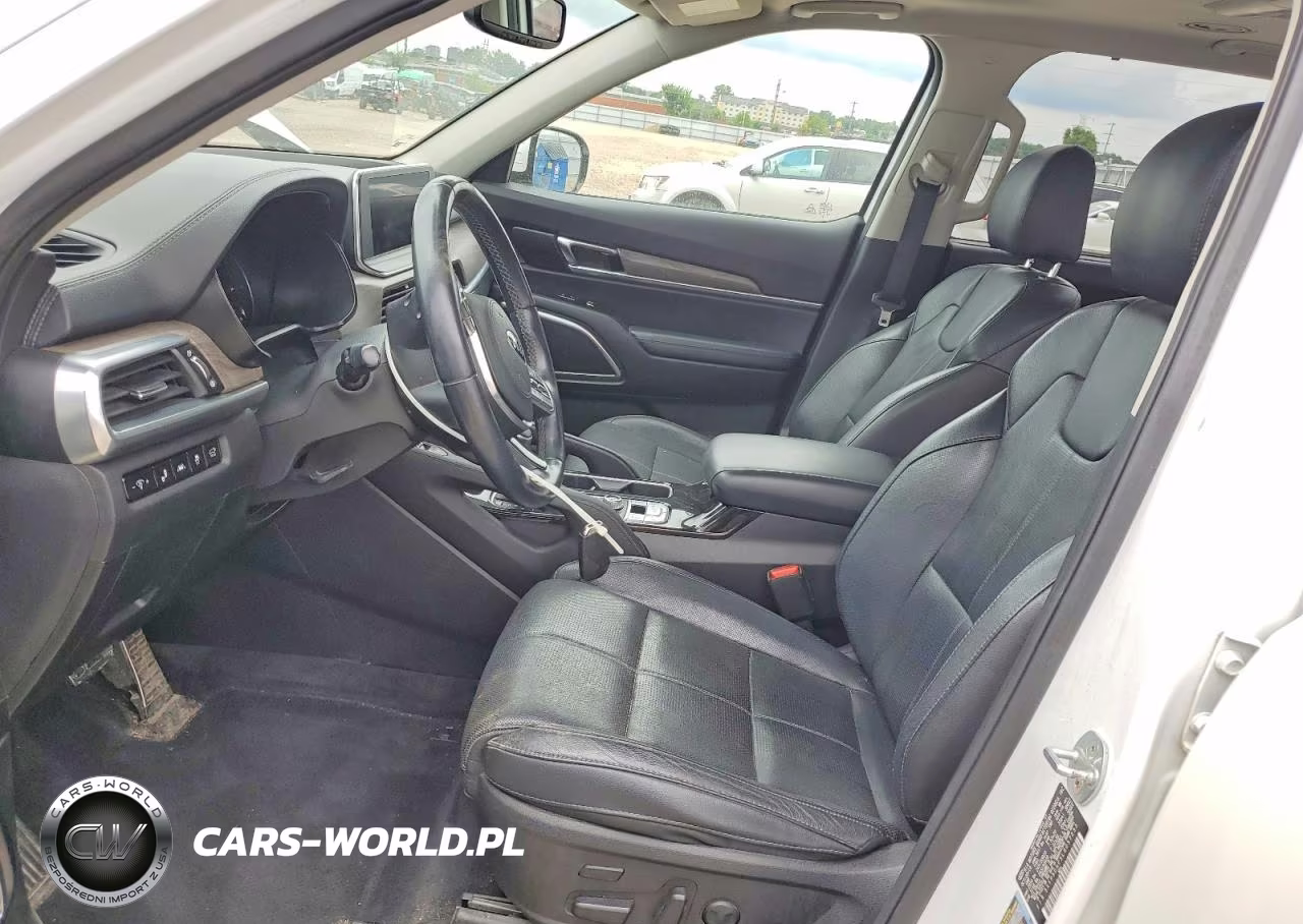 2020 Kia Telluride Sx VIN:5XYP5DHC3LG057233 - 7