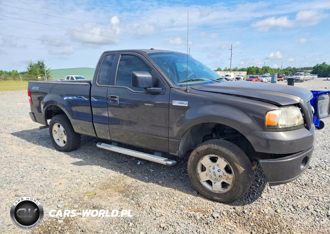 2006 Ford F150 VIN:1FTRF12246NB67936 - 4