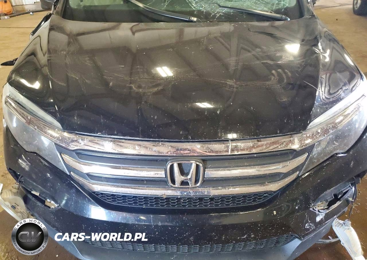 2016 Honda Pilot Exln VIN:5FNYF5H71GB005106 - 11
