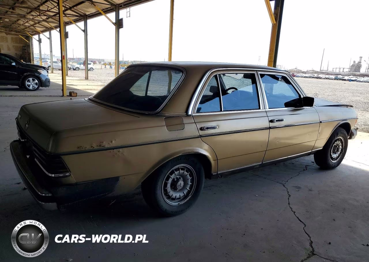 1984 Mercedes-Benz 300 Dt VIN:WDBAB33AXEA006277 - 3