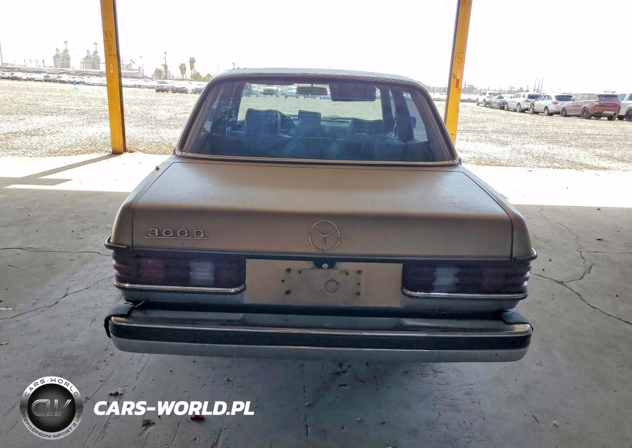 1984 Mercedes-Benz 300 Dt VIN:WDBAB33AXEA006277 - 6