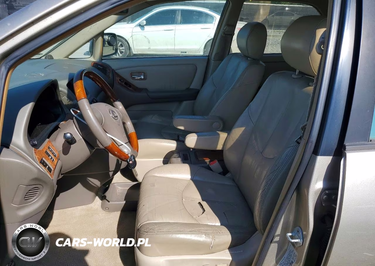 2002 Lexus Rx 300 VIN:JTJGF10U520141734 - 7