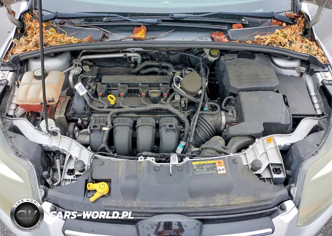 2013 Ford Focus Titanium VIN:1FADP3N28DL249682 - 11