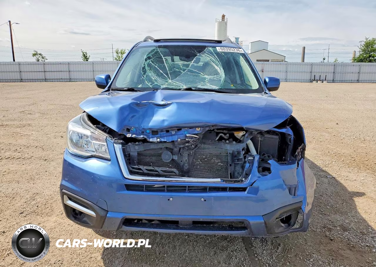 2017 Subaru Forester 2.5I Premium VIN:JF2SJAEC7HH548266 - 5