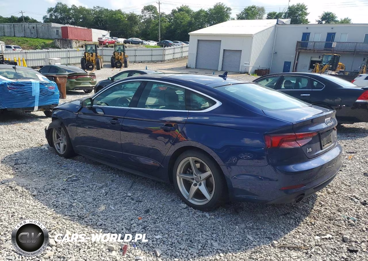 2019 Audi A5 Premium Plus S-Line VIN:WAUENCF55KA031556 - 2