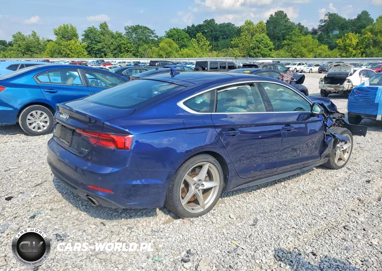 2019 Audi A5 Premium Plus S-Line VIN:WAUENCF55KA031556 - 3