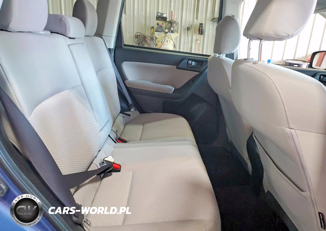 2015 Subaru Forester 2.5I Premium VIN:JF2SJADC1FH488936 - 10
