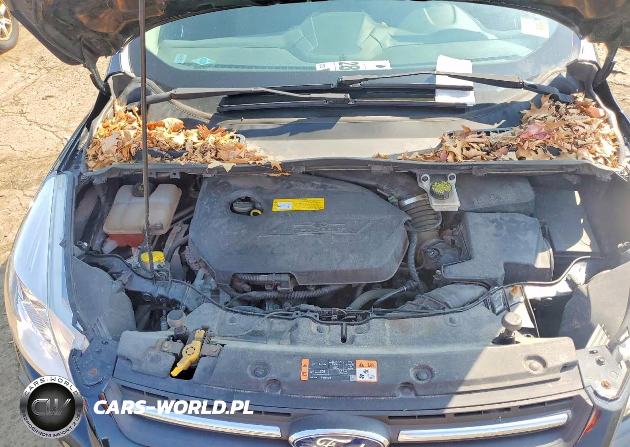 2015 Ford Escape Se VIN:1FMCU0GX5FUC23782 - 12