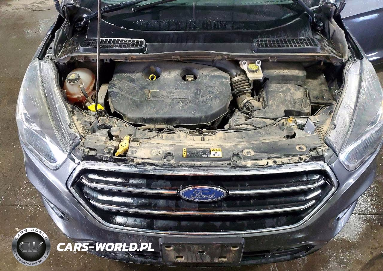 2017 Ford Escape Se VIN:1FMCU9G92HUE47245 - 11
