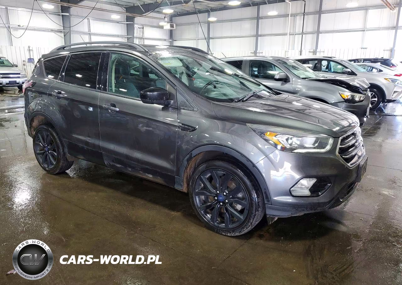 2017 Ford Escape Se VIN:1FMCU9G92HUE47245 - 4