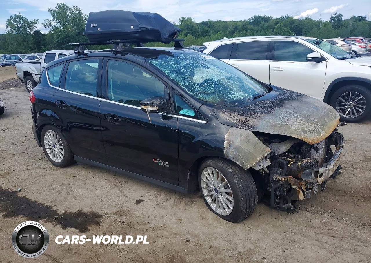 2016 Ford C-Max Premium Sel VIN:1FADP5CU9GL113498 - 4