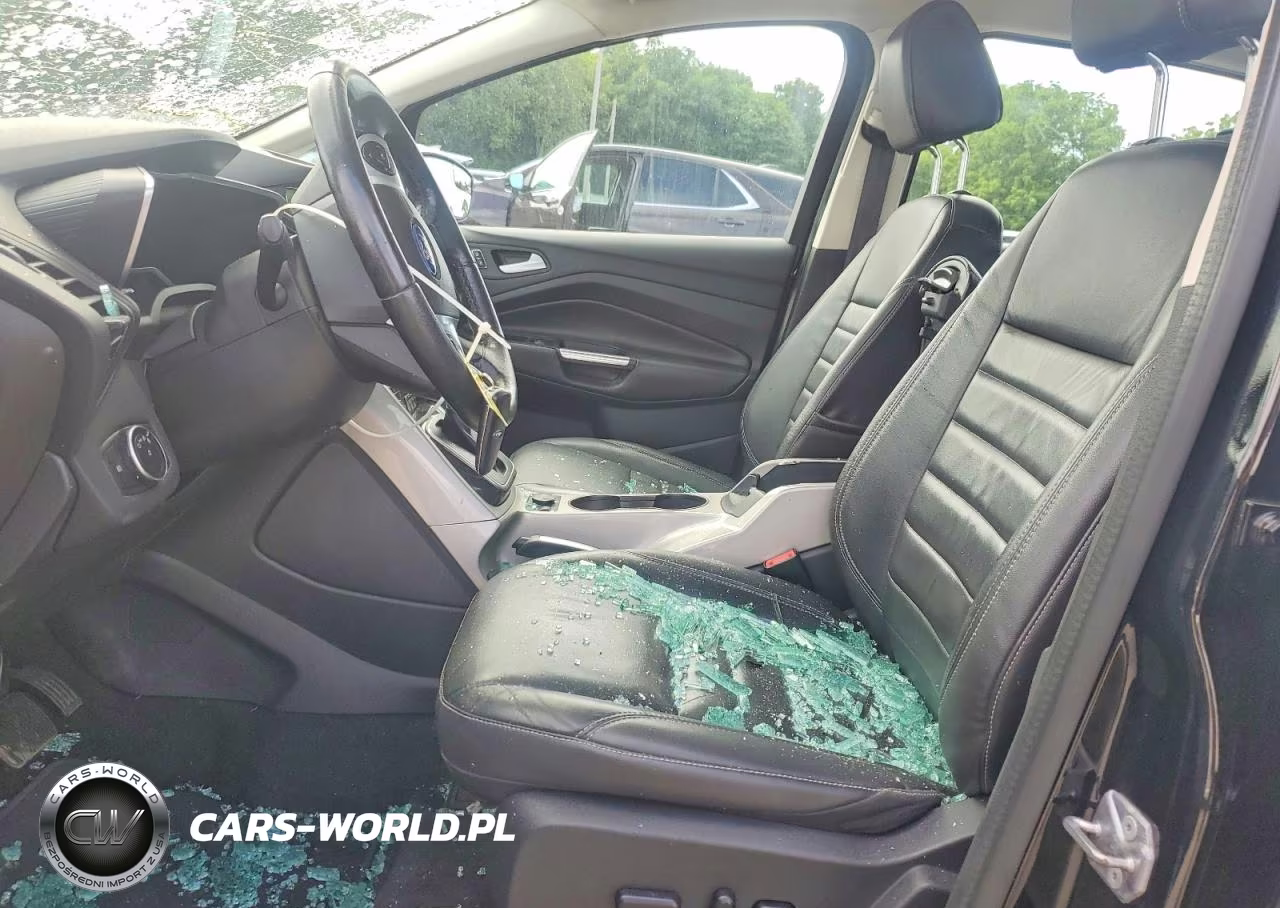 2016 Ford C-Max Premium Sel VIN:1FADP5CU9GL113498 - 7