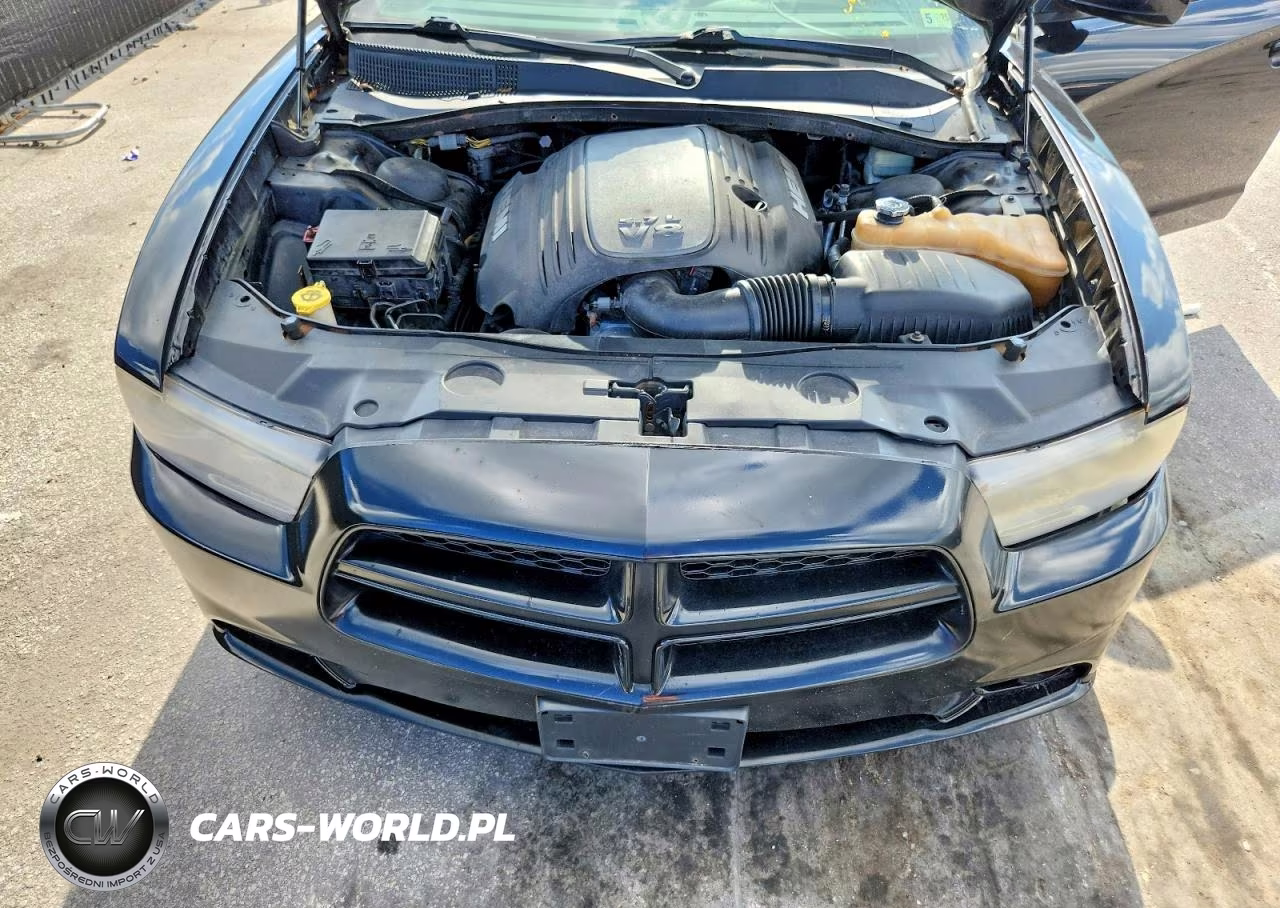 2014 Dodge Charger R-T VIN:2C3CDXDT4EH145967 - 11
