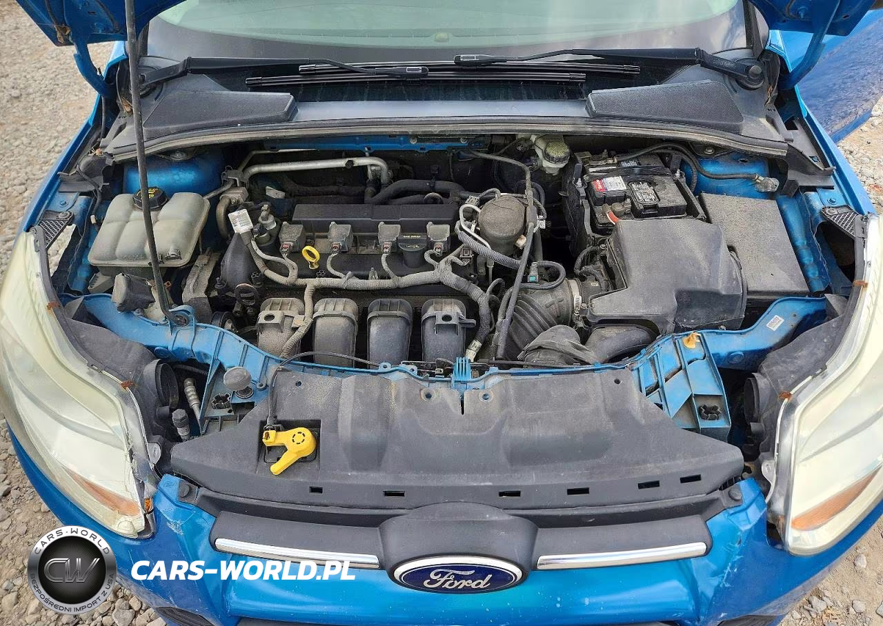 2014 Ford Focus Se VIN:1FADP3F2XEL378698 - 11
