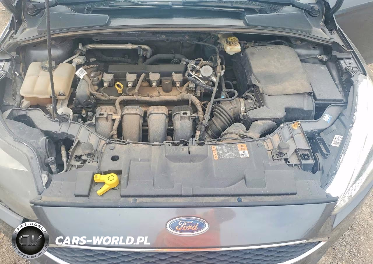 2017 Ford Focus Se VIN:1FADP3K28HL314508 - 11