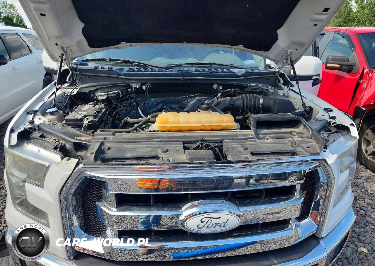 2016 Ford F150 Supercrew VIN:1FTEW1EF3GKF06475 - 11