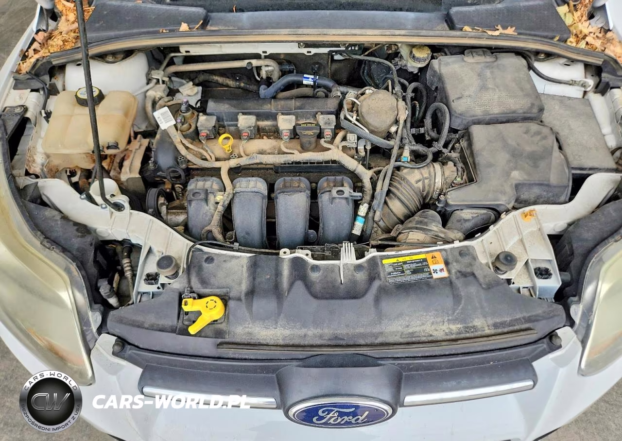 2013 Ford Focus Se VIN:1FADP3F24DL195957 - 11