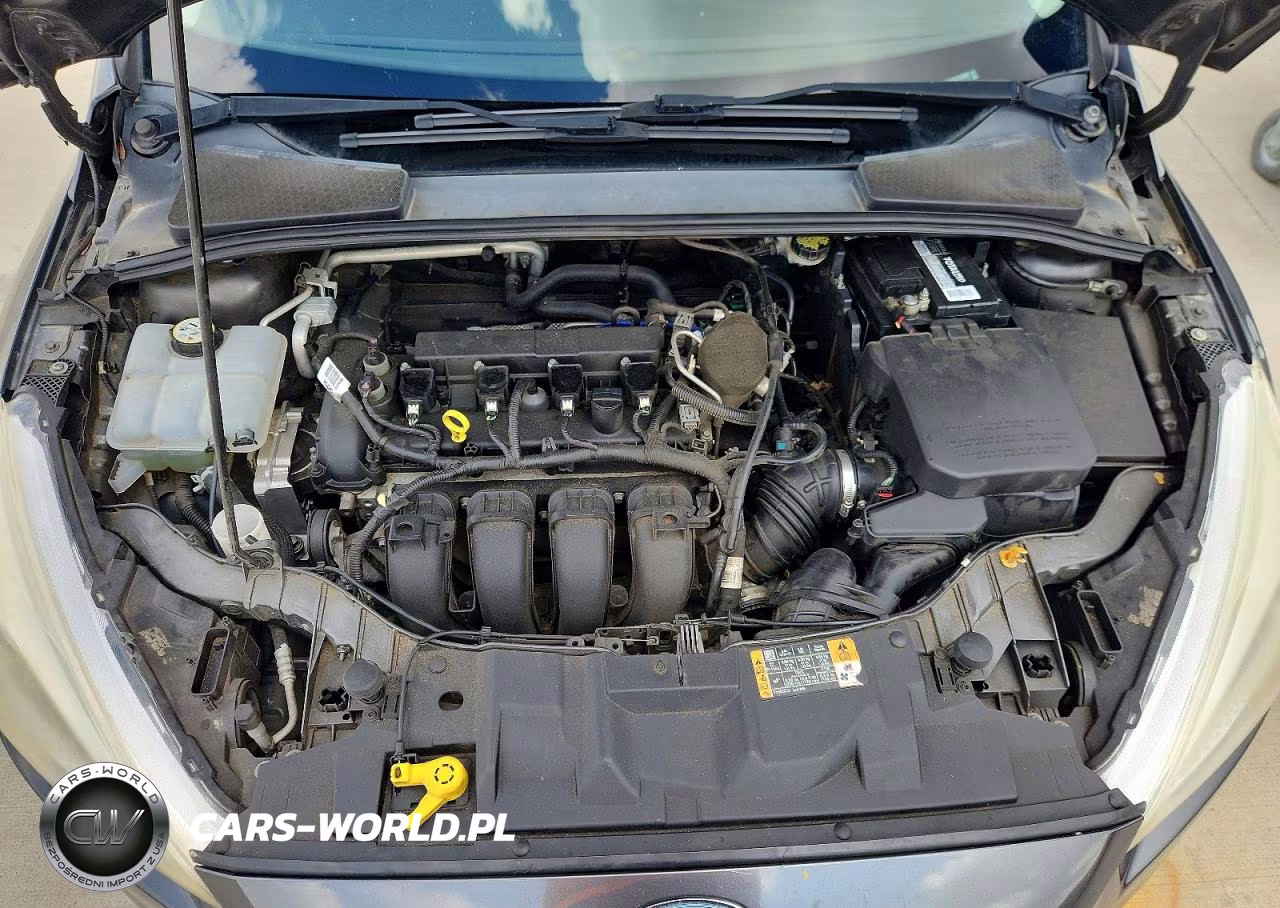 2016 FORD FOCUS SE VIN:1FADP3F21GL219300 - 11