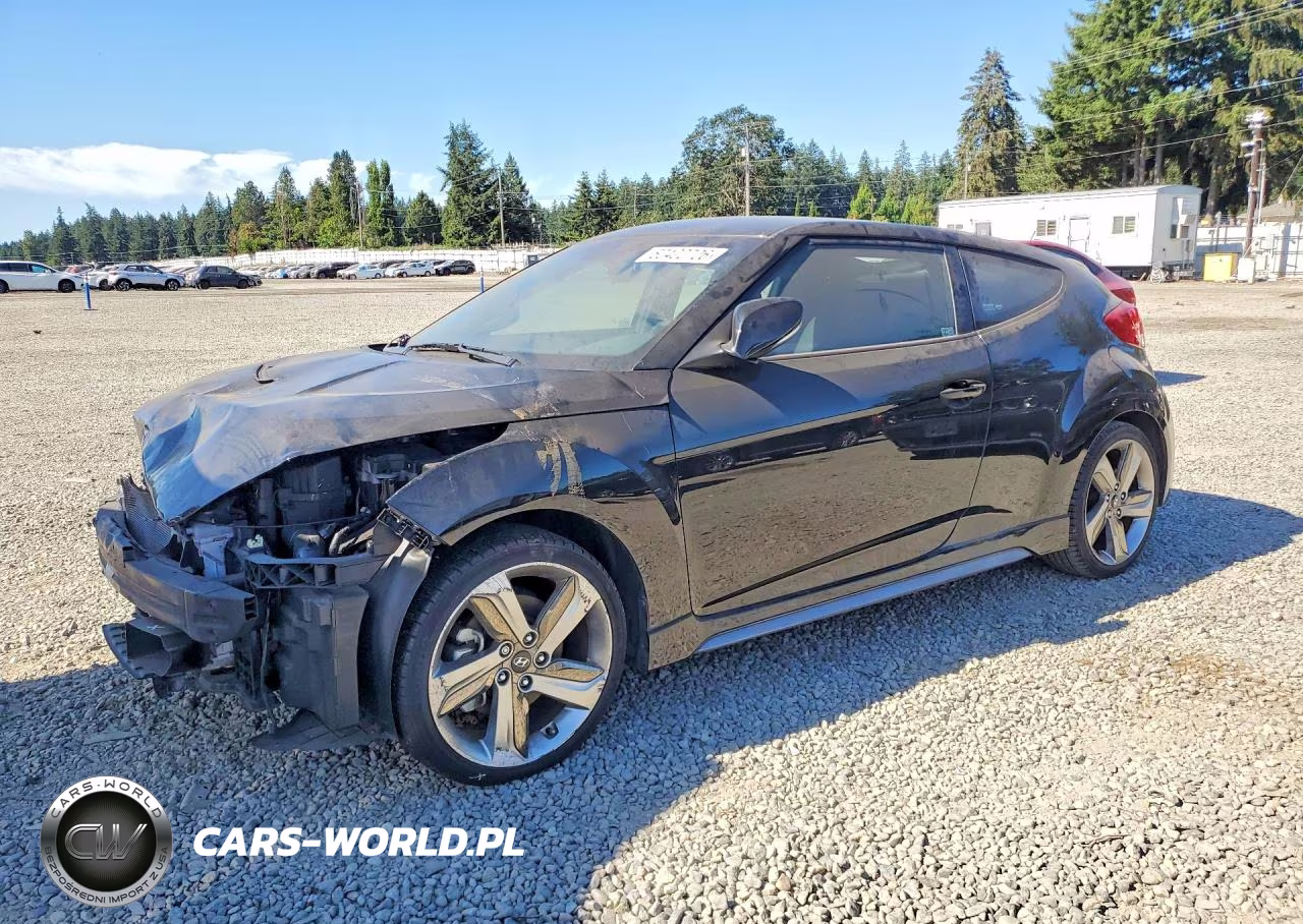 2013 Hyundai Veloster Turbo – zdjęcie 1 z 12