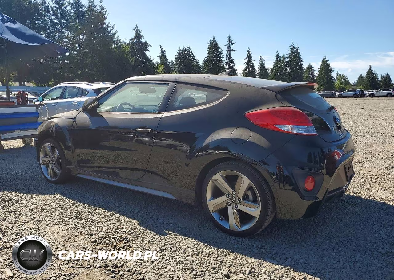 2013 Hyundai Veloster Turbo VIN:KMHTC6AE7DU087228 - 2