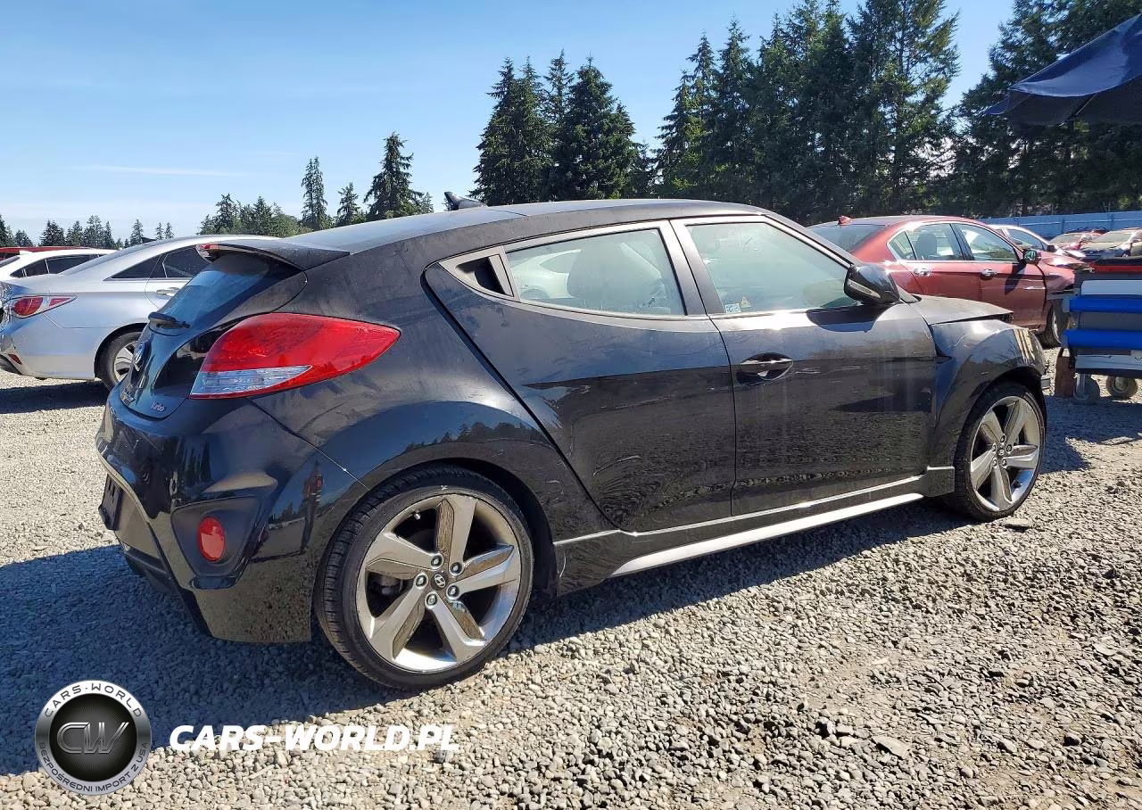 2013 Hyundai Veloster Turbo VIN:KMHTC6AE7DU087228 - 3