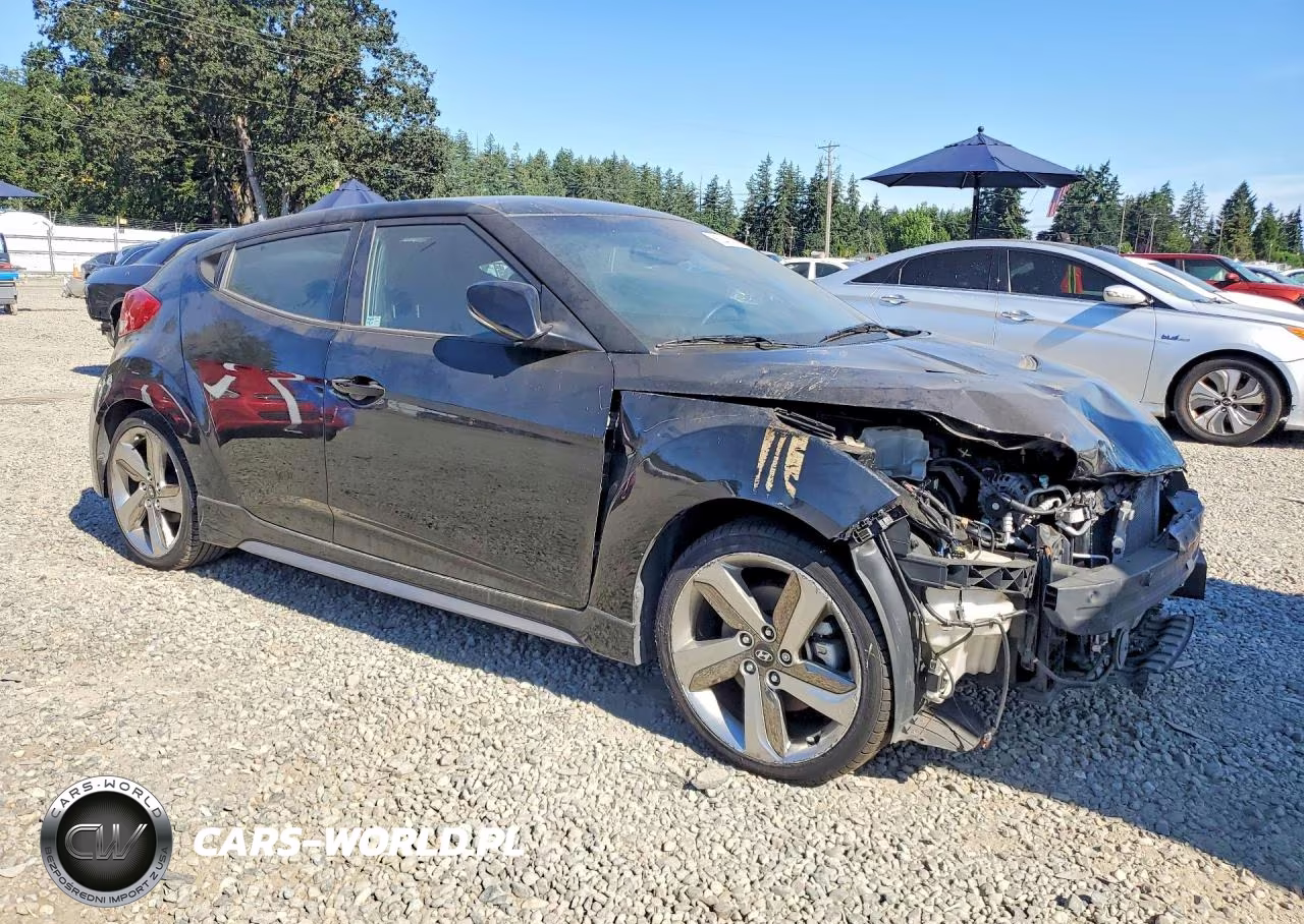 2013 Hyundai Veloster Turbo VIN:KMHTC6AE7DU087228 - 4