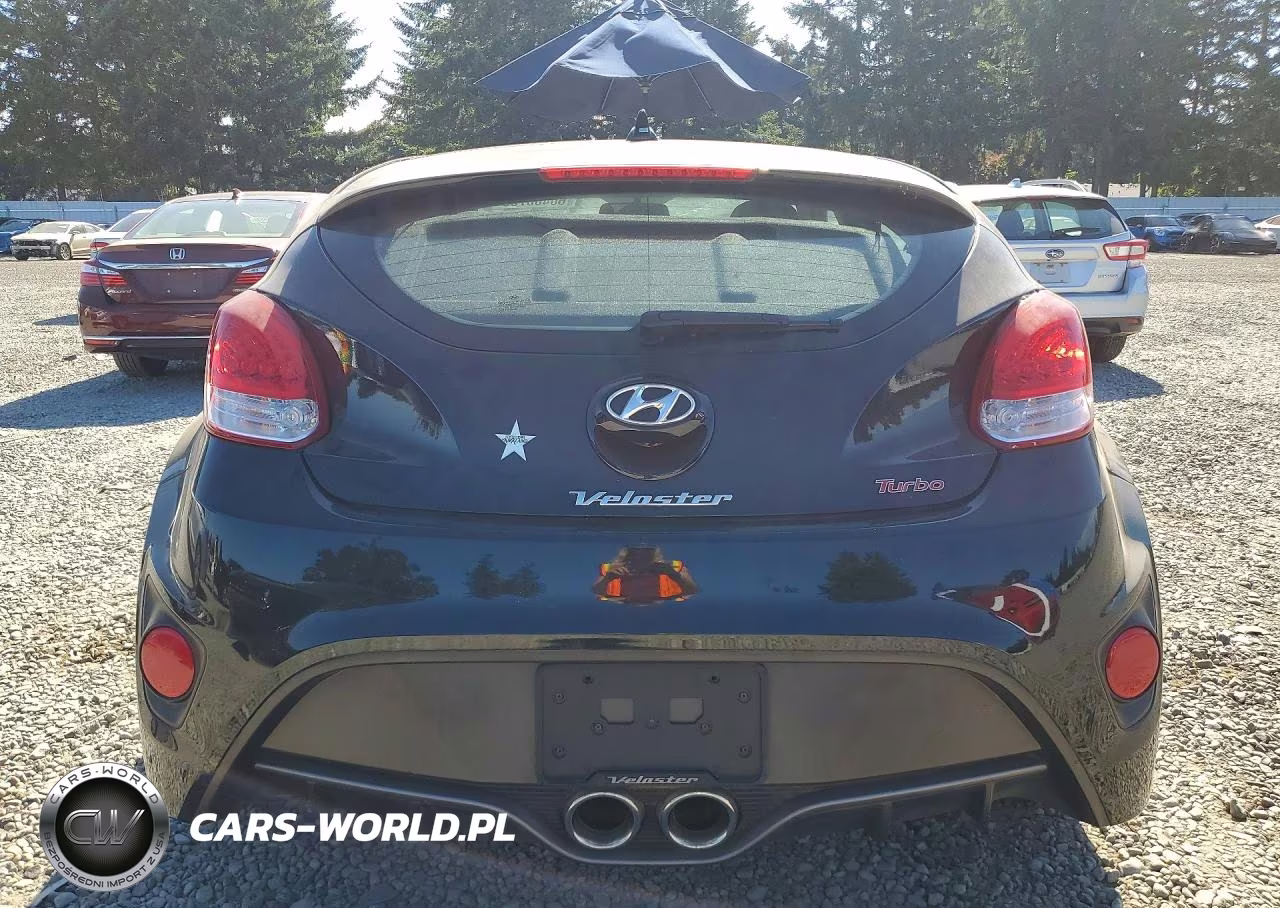 2013 Hyundai Veloster Turbo VIN:KMHTC6AE7DU087228 - 6