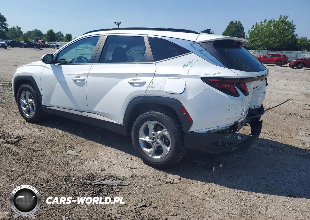 2024 Hyundai Tucson Sel VIN:5NMJBCDE3RH353822 - 2