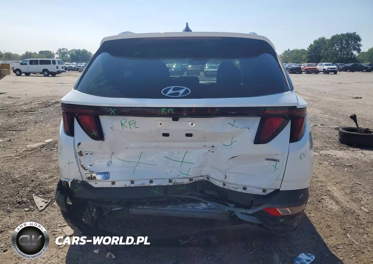2024 Hyundai Tucson Sel VIN:5NMJBCDE3RH353822 - 6