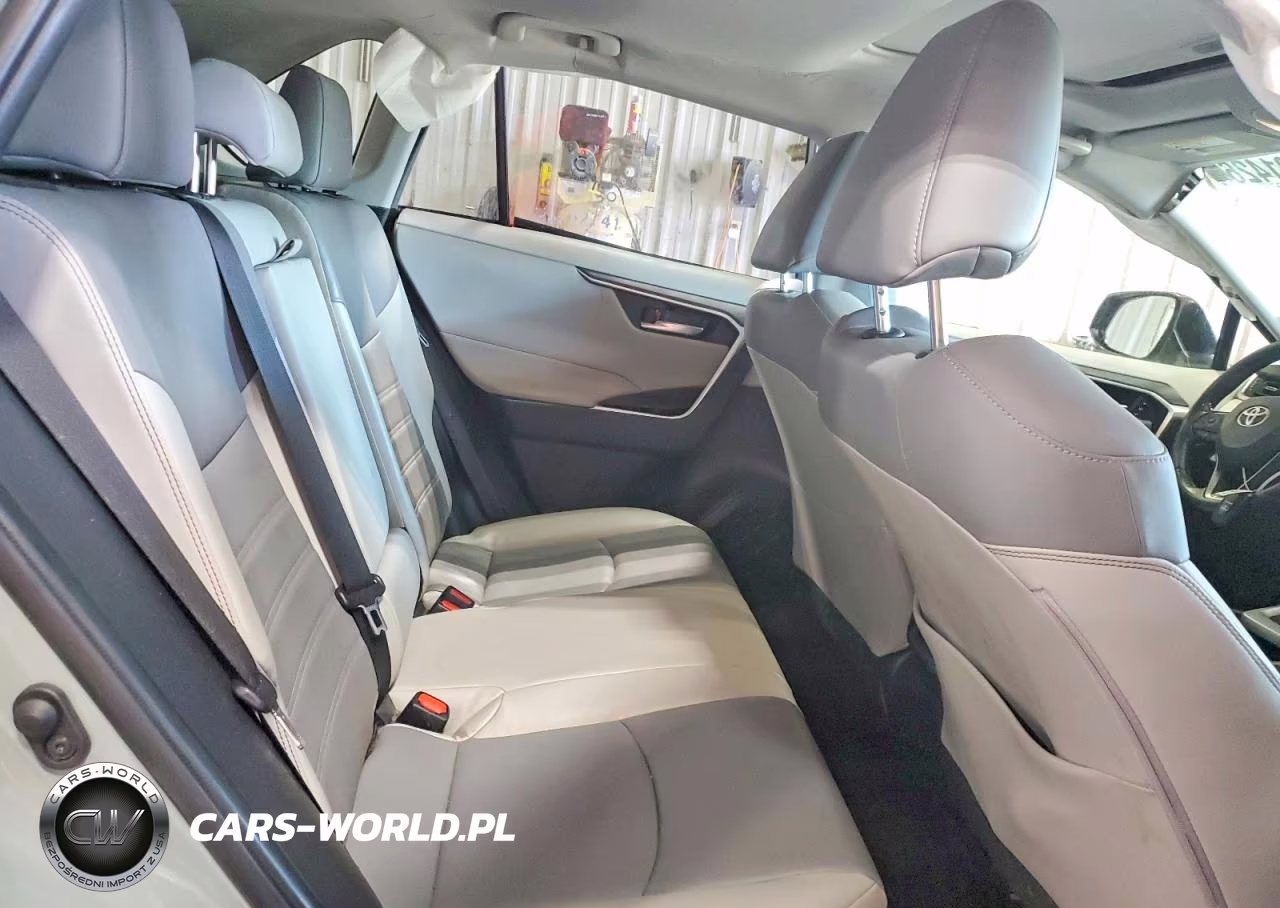 2019 Toyota Rav4 Xle Premium VIN:JTMA1RFV0KD045587 - 10