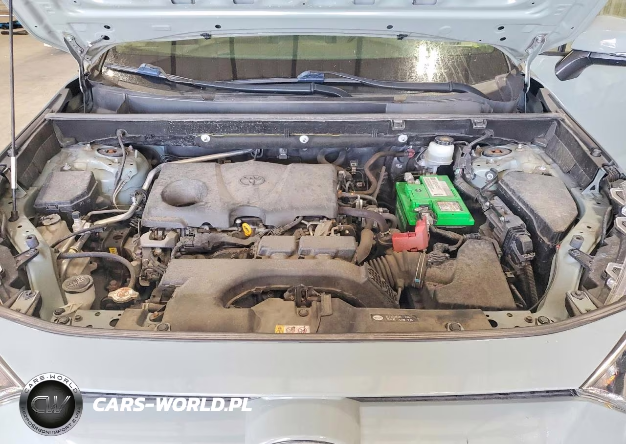 2019 Toyota Rav4 Xle Premium VIN:JTMA1RFV0KD045587 - 11