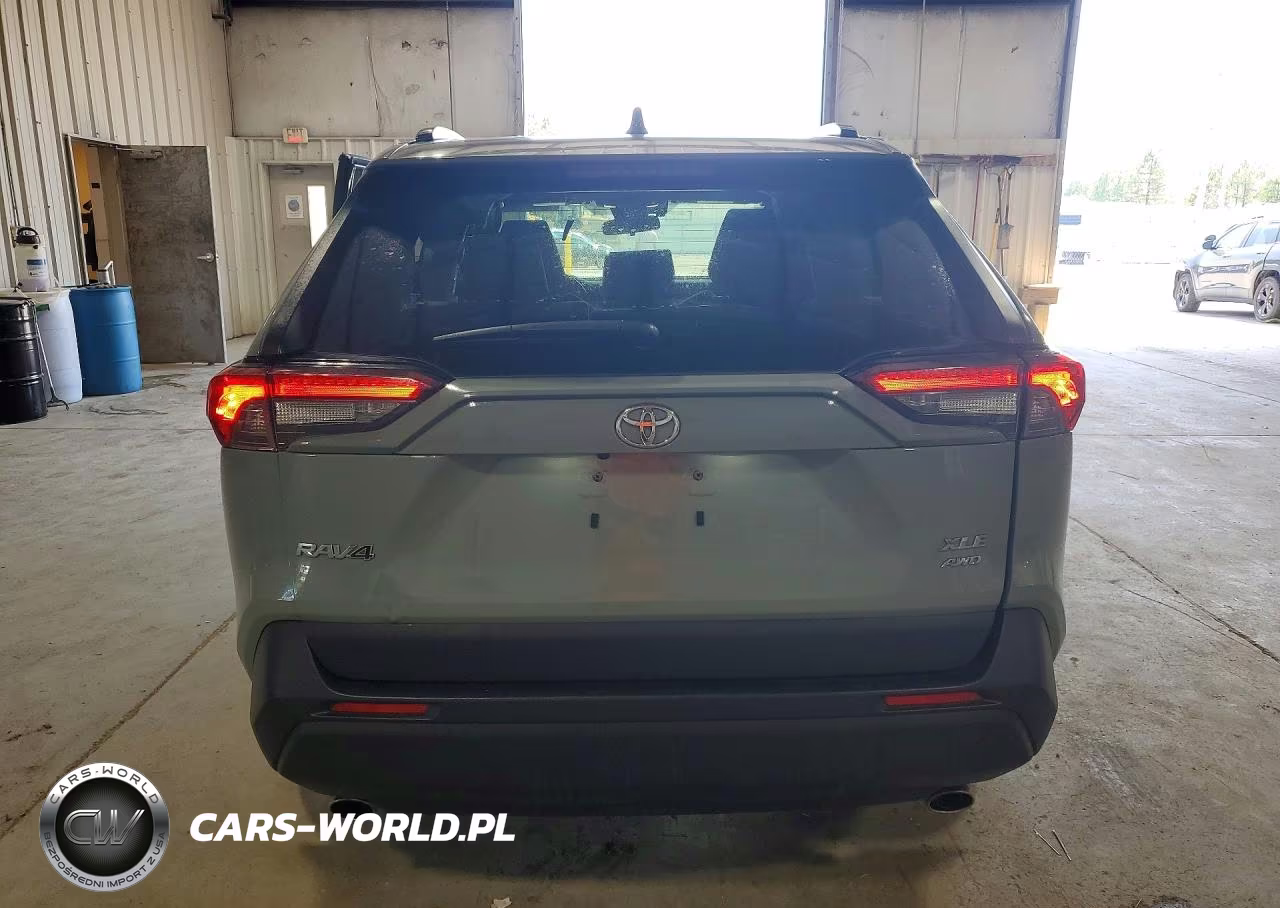 2019 Toyota Rav4 Xle Premium VIN:JTMA1RFV0KD045587 - 6