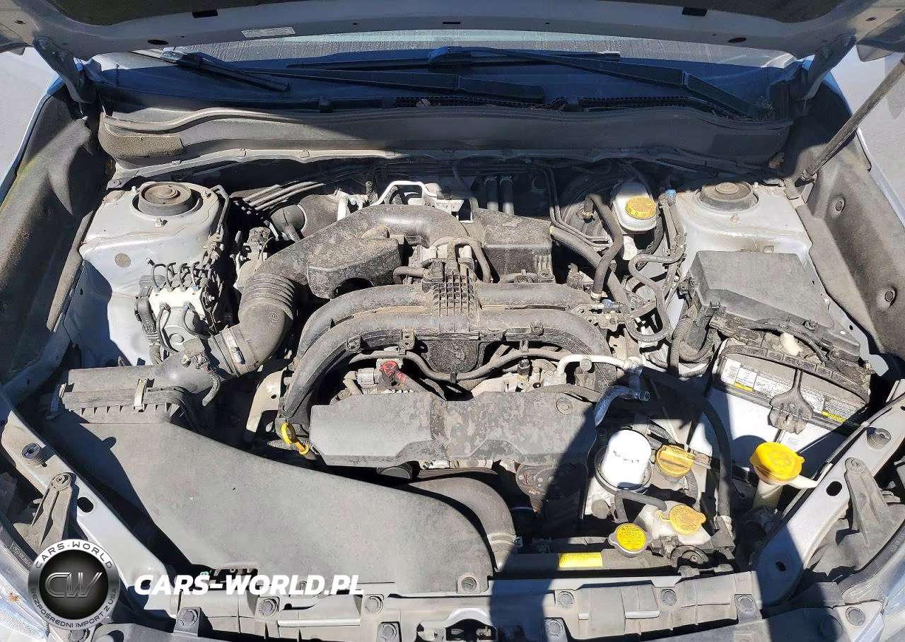 2017 Subaru Forester 2.5I Premium VIN:JF2SJAEC2HH412806 - 12